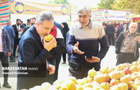 جشنواره بِه؛ فرصتی برای معرفی داشته‌های ارزشمند باغبادران