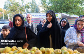 توسعه گردشگری در گرو تشکیل شرکت‌تعاونی و بازارچه‌های دائمی