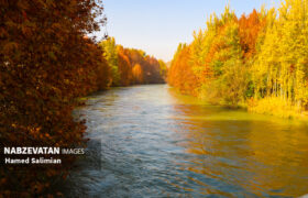 پادشاه فصل‌ها در دهستان چم کوه