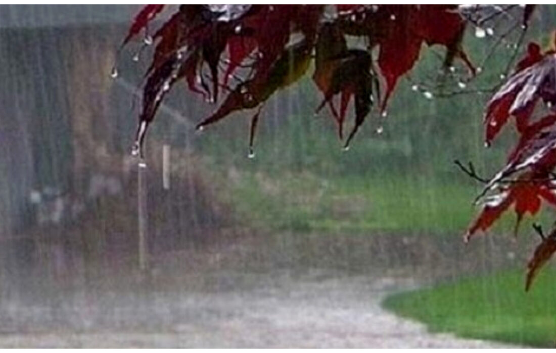 بارش باران در اکثر مناطق کشور