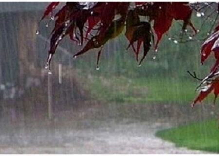بارش باران در اکثر مناطق کشور