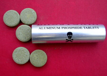 عرضه قرص برنج ممنوع است