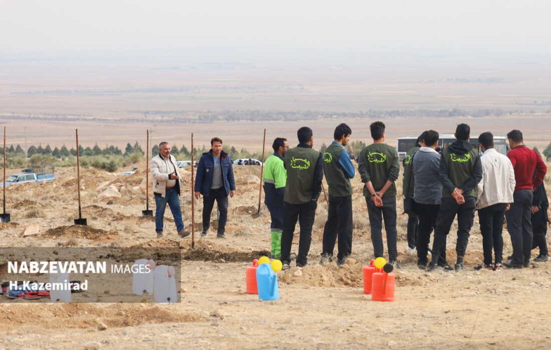 طرح کاشت بذرِ بادام اسکوپاریا در شهر چرمهین کاملاً عملیاتی است/شهرداری چرمهین با همت خود به سبز شدن شهر کمک شایانی کرده است