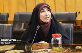 دود مشکلات زیست محیطی کارخانه ذوب آهن در چشم ساکنان شهرهای همجوار این صنعت بزرگ