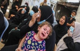 سلیمی: کمک‌های نقدی ایرانیان به غزه از ۱۱۱ میلیارد تومان عبور کرد