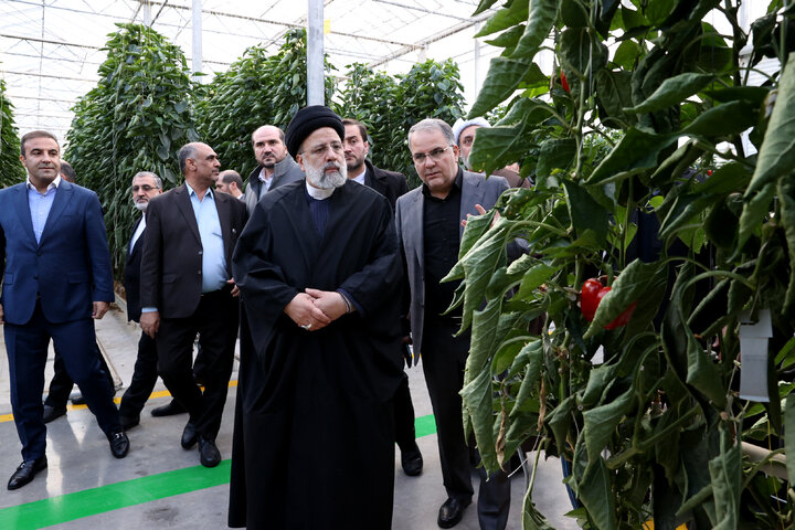 شهرک گلخانهای مدرن و شیشهای استان زنجان با حضور آیت الله رئیسی به بهرهبرداری رسید
