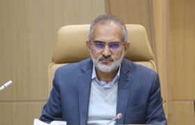 معاون پارلمانی رئیس‌ جمهور: اعضای دولت از هیچ فرد و فهرستی حمایت نمی‌کنند