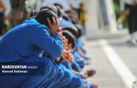 ۲۳ نفر از اراذل و اوباش با اجرای طرح ویژه پلیسی دستگیر شدند
