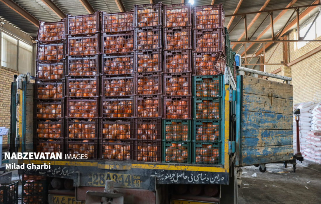 توزیع حدود ۱۰ هزار تن میوه شب عید در کشور