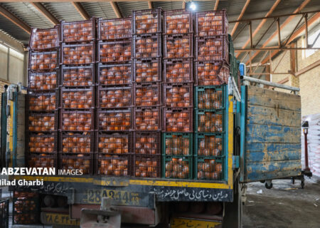 توزیع حدود ۱۰ هزار تن میوه شب عید در کشور