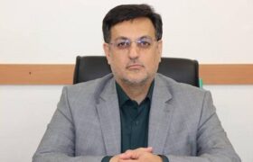 موسویان: ساماندهی و کاهش جمعیت کیفری زندانیان ضروری است