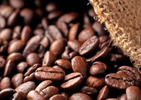 واردات ۱۴۸ میلیون دلاری قهوه به کشور در سال ۱۴۰۲
