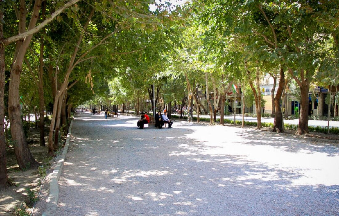 ایمنسازی درختان خطرآفرین در شهر