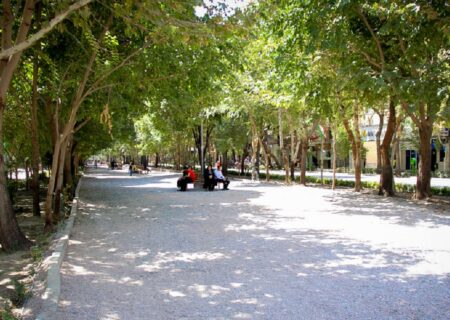 ایمن‌سازی درختان خطرآفرین در شهر