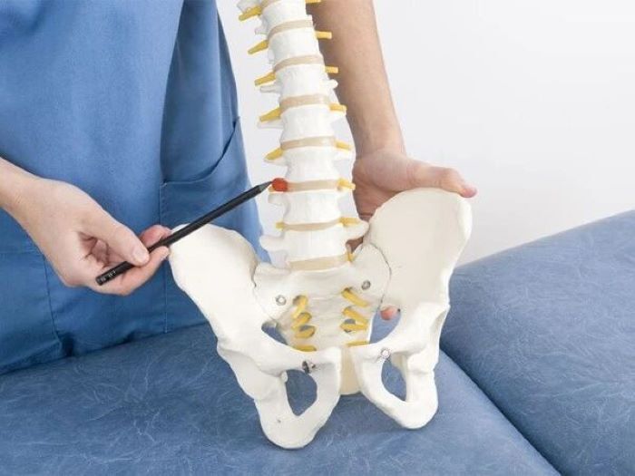 ترمیم بافت دیسک کمر با استفاده از فناورینانو