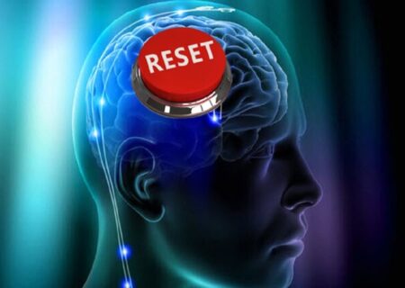 یافته مهم دانشمندان دانشگاه نیویورک/ خاطرات فقط در مغز ذخیره نمی‌شوند