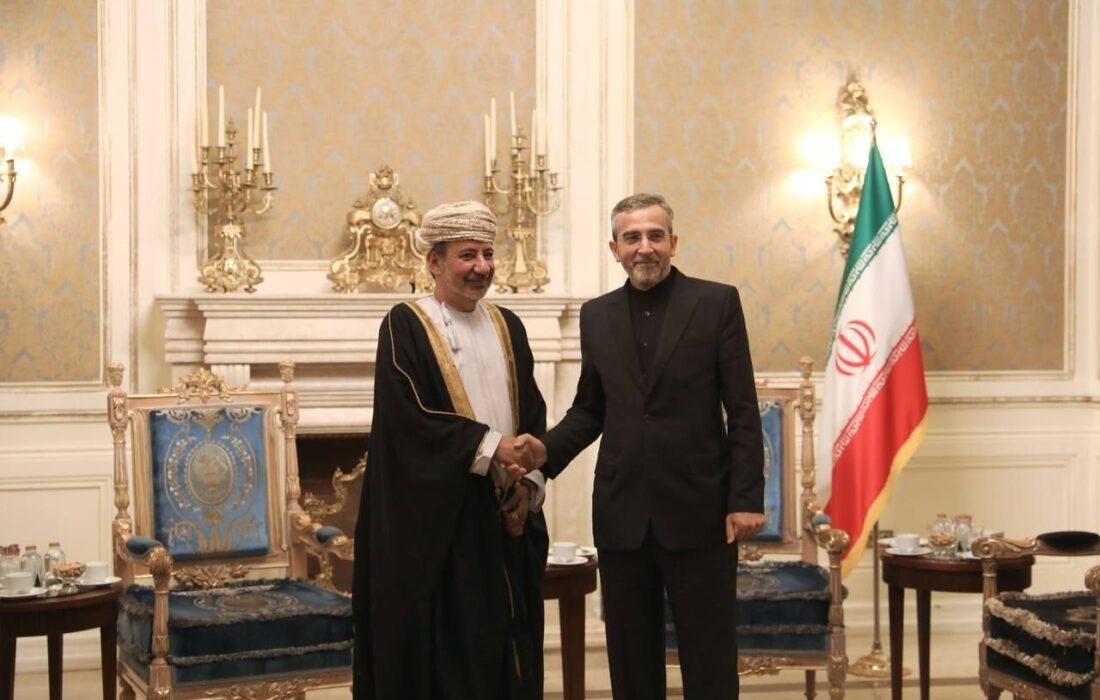 ابراز امیدواری عمان نسبت به برگزاری موفقیتآمیز انتخابات در ایران