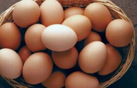 رنگ قهوهای پوست تخم مرغ نشان از چیست؟