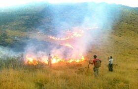 شیشه‌فروش: آتش سوزی مزارع و مراتع سمیرم و فریدن مهار شد