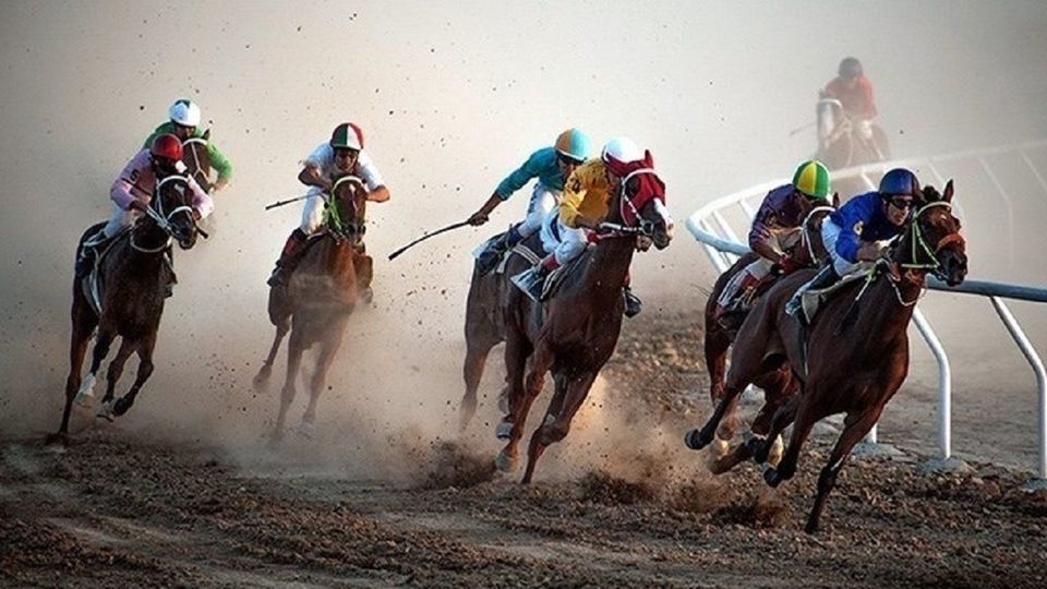 ماجرای شرطبندی در سوارکاری، تیراندازی و شمشیربازی چه شد؟