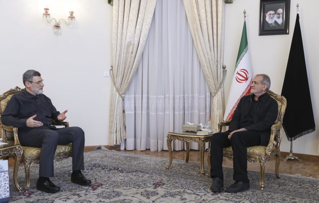 قاضیزاده هاشمی به دیدار رئیسجمهور منتخب رفت