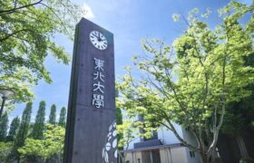 ابتکار دانشگاه ژاپنی برای کمک به بیماران قلبی 