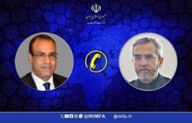 باقری با وزیر خارجه مصر در مورد شهادت اسماعیل هنیه رایزنی کرد