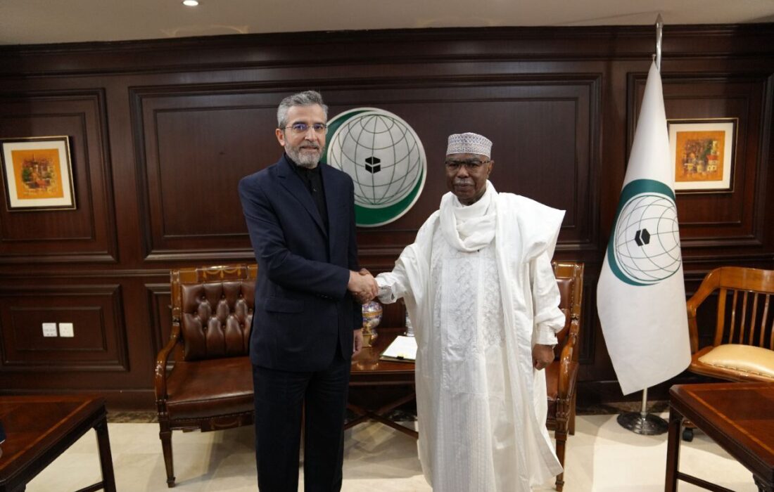 دیدار سرپرست وزارت امور خارجه ایران با دبیرکل سازمان همکاری اسلامی در جده