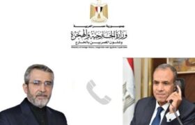 وزیر خارجه مصر در گفت‌وگوی علی باقری بر مخالف نقض حاکمیت کشورها تأکید کرد