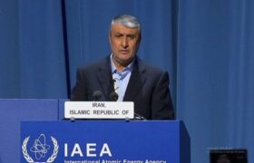 اسلامی: برجام نباید به هزینه تنها یک عضو اجرا شود/ یک پنجم بازرسیهای آژانس از ایران انجام میشود