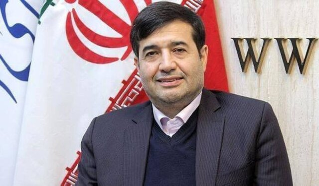 وزیر ورزش: پاداش مدالآوران المپیکی و پارالمپیکی این ماه پرداخت خواهد شد