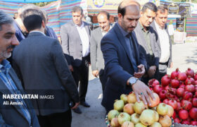 جشنواره بِه فرصتی برای تبیین پتانسیلهای نهفته باغبادران است