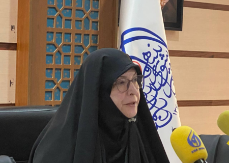 دبیر ستاد خانواده و زنان: سندجامع اشتغال زنان در دست تدوین است