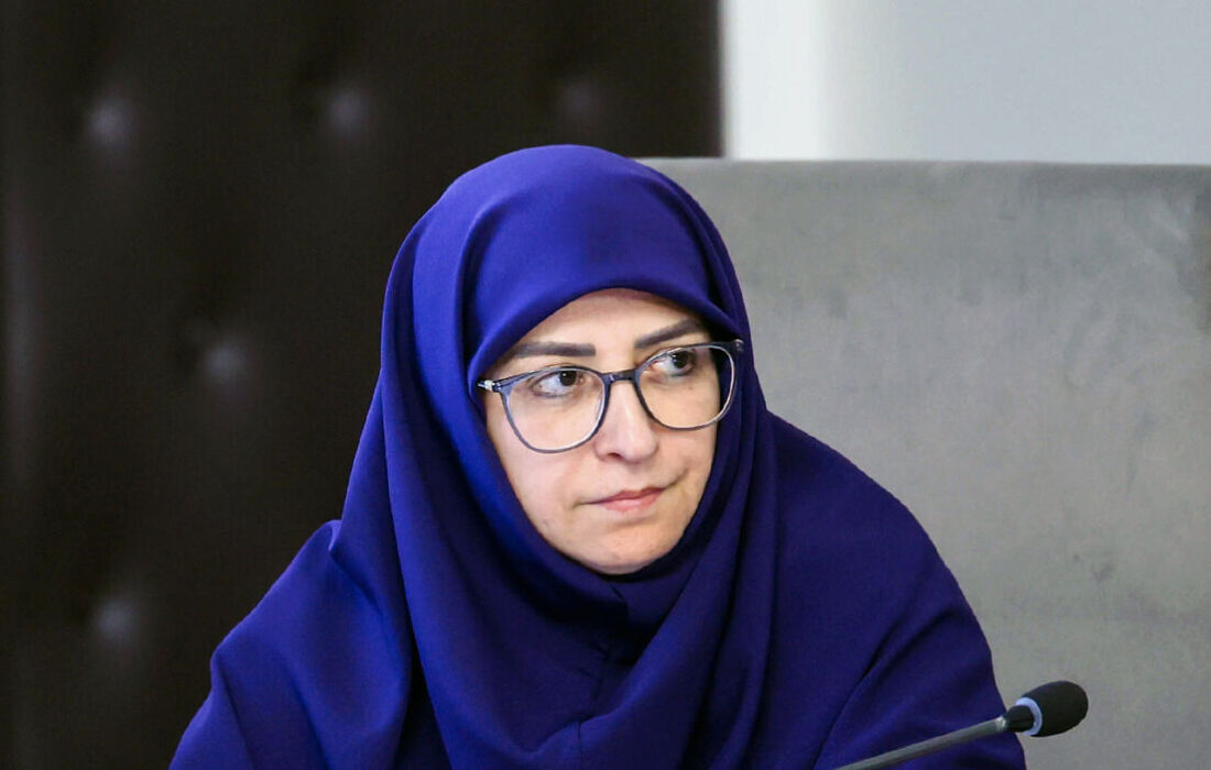 انصاری: تصمیمات زیست‌محیطی بر بنیاد واقعیت‌ها و شرایط کنونی کشور استوار باشد