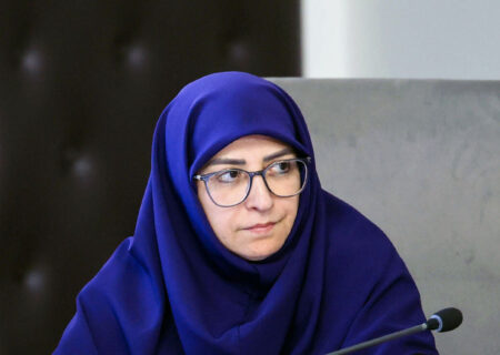 انصاری: تصمیمات زیست‌محیطی بر بنیاد واقعیت‌ها و شرایط کنونی کشور استوار باشد