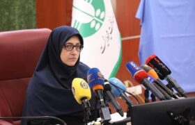 مازوتسوزی در برخی نیروگاههای کشور تداوم دارد