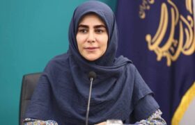 رضایی: پروژه شبکه شهرهای هنر ایران در دستورکار است