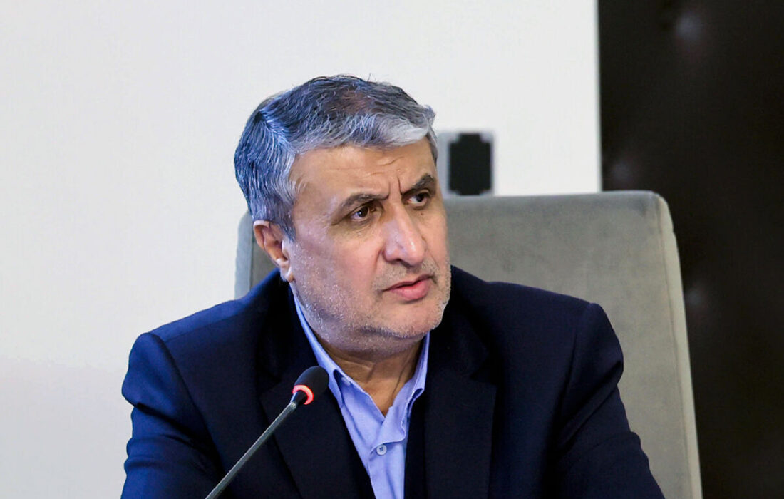   رتبه چشمگیر سازمان انرژی اتمی در تحقق بهره‌وری