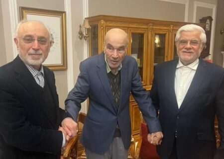 دیدار عارف با فیلسوف شهیر ایران