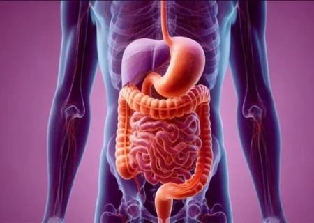 راهکارهای هضم سریع غذا