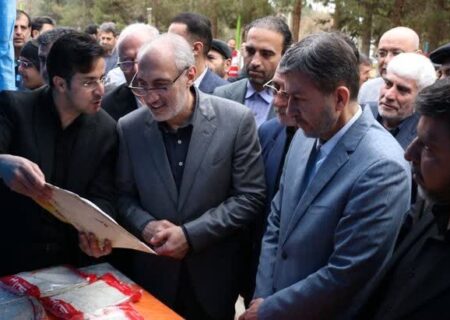 بازدید معاون رئیس‌جمهور از نوروزگاه برخوار