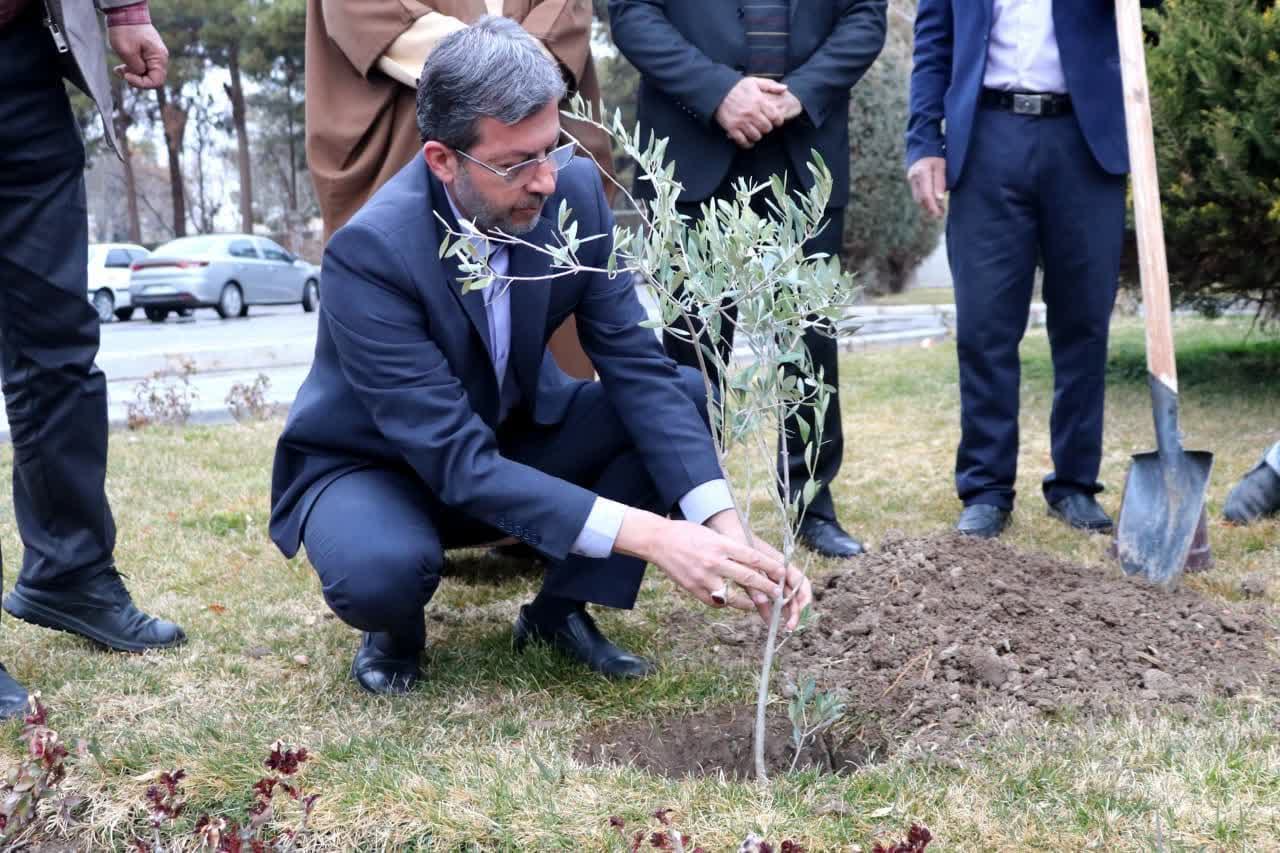 استاندار اصفهان: هدفگذاری کاشت یک میلیارد درخت در کشور تا سال ۱۴۰۶