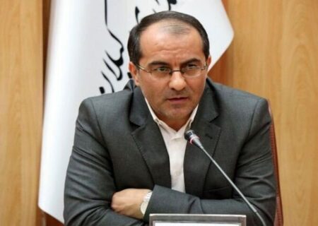 رفیع زاده: نظام پرداخت دستمزد کارکنان دولت بدون کاهش حقوق اصلاح می‌شود