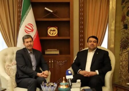 در دیدار با مدیرعامل بانک ملی ایران مطرح شد: