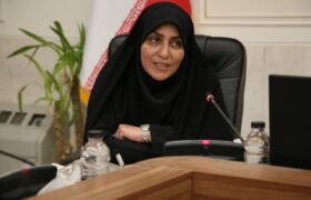 خیریه‌ها و تشکل‌ها بازوی دولت در رفع مشکلات مردم هستند