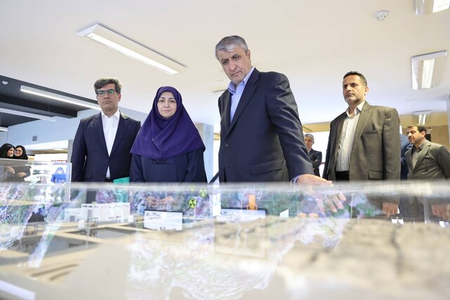 انصاری: همکاری محیط زیست و صنعت هستهای راهبردی است