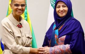 ایران و برزیل بر تبادل تجربه در زمینه موضوعات زیست‌محیطی تاکید کردند