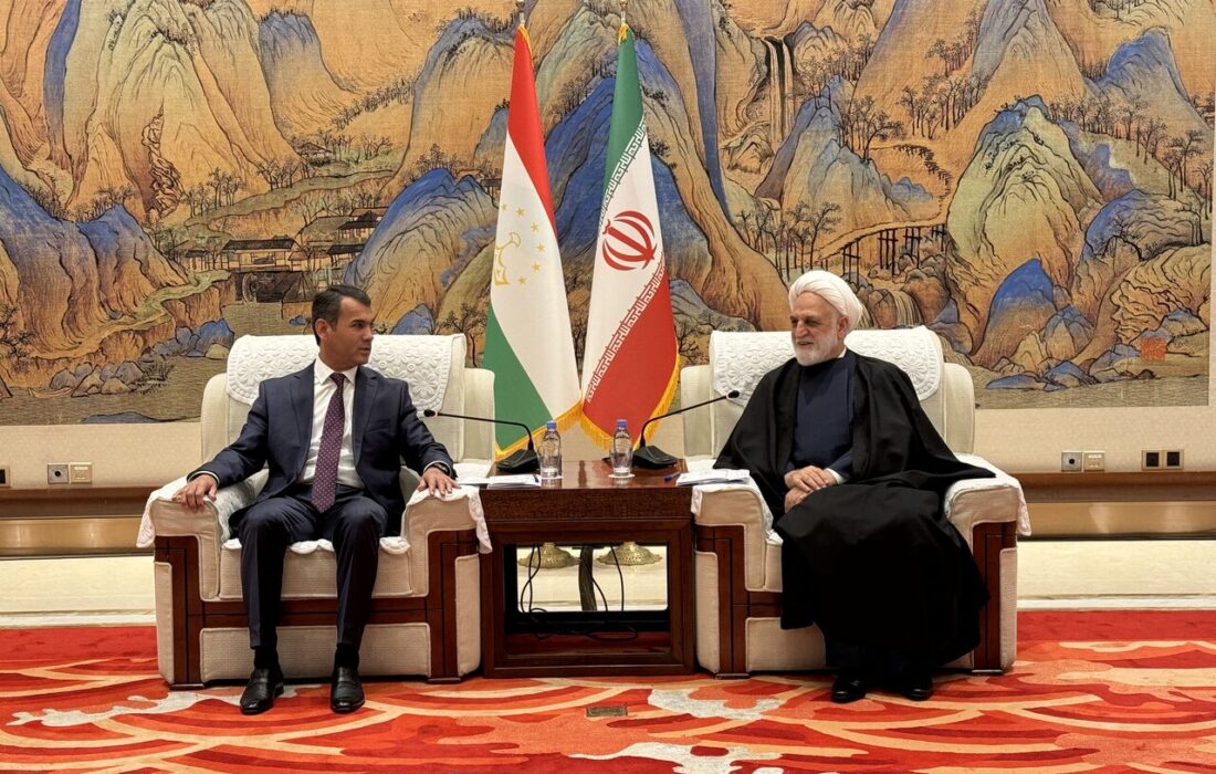 تعامل منطقهای و همسایگی برای مقابله با چالشها یک اصل اساسی است