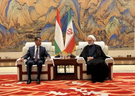 تعامل منطقه‌ای و همسایگی برای مقابله با چالش‌ها یک اصل اساسی است