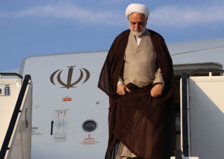 محسنی اژه ای وارد همدان شد